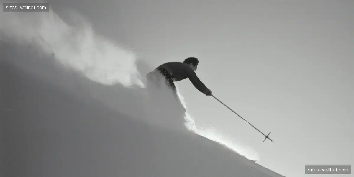 高效赛事组织能力 提升观众参与感